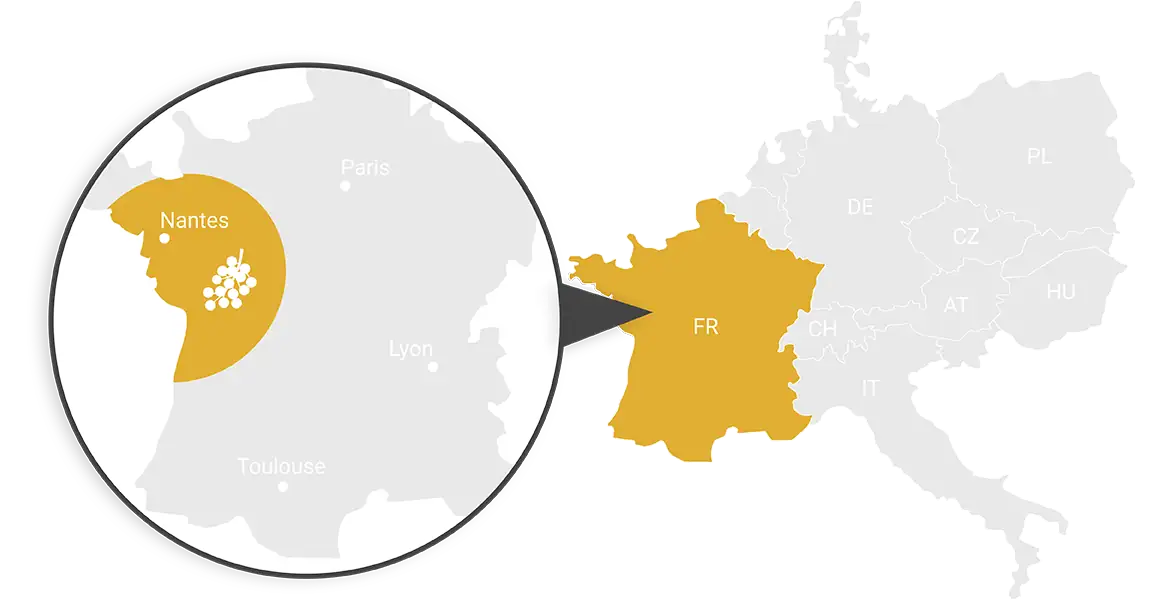 Schwarze Johannisbeere Zellschutz Gehirn Nerven Augen Illustrierte Karte von Mittel- und Südeuropa. Fokus auf Frankreich und hier speziell auf den Westen. Die Bereiche sind gelb hervorgehoben und zeigen das Anbaugebiet der Schwarzen Johannisbeere.