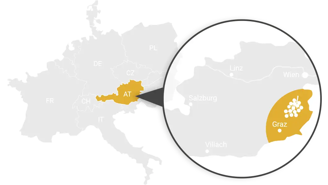 Heilpflanze Schwarzer Holunder Immunsystem Anbaugebiet Österreich Stilisierte Landkarte von Mittel- und Südeuropa, in der Österreich gelb hervorgehoben ist. In einem vergrößerten Ausschnitt sieht man gelb eingefärbt die Steiermark und das Burgenland.