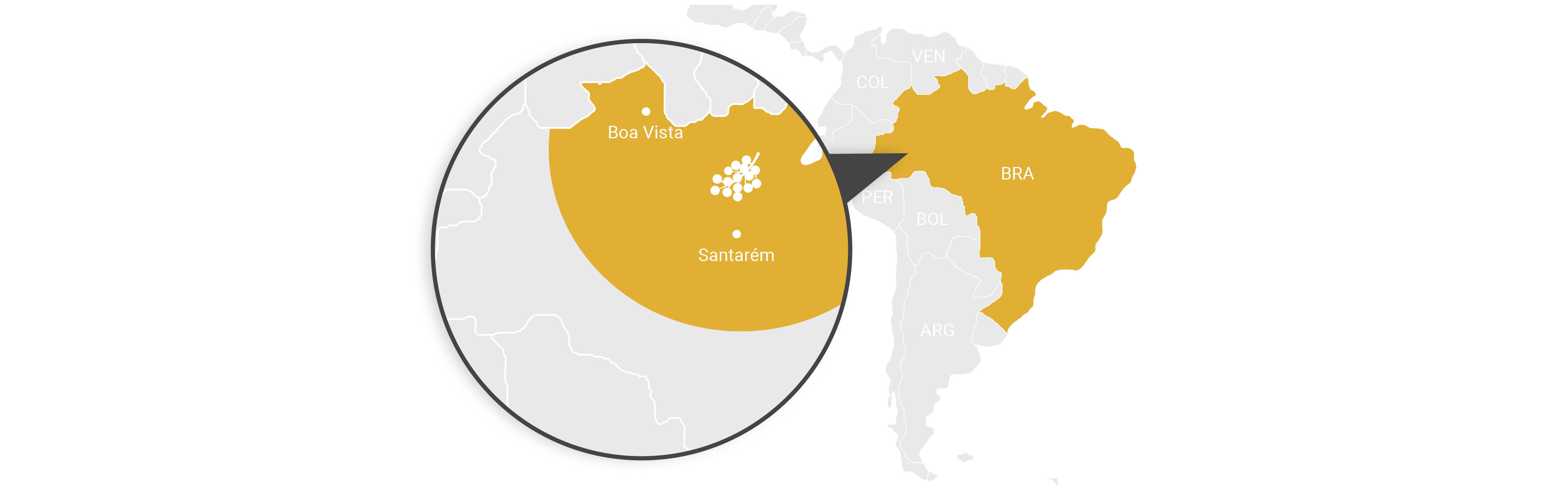 Acerola-Kirsche natürliches Vitamin C Zellschutz Stoffwechsel Unterstützer Kollagenbildung Stilisierte Karte von Südamerika, auf dem Brasilien gelb markiert ist. Fokus liegt mittels einer Lupe auf der Region um Boa Vista und Satarém. Auch dieses Gebiet ist gelb hervorgehoben und zeigt das Anbaugebiet für Acerola.