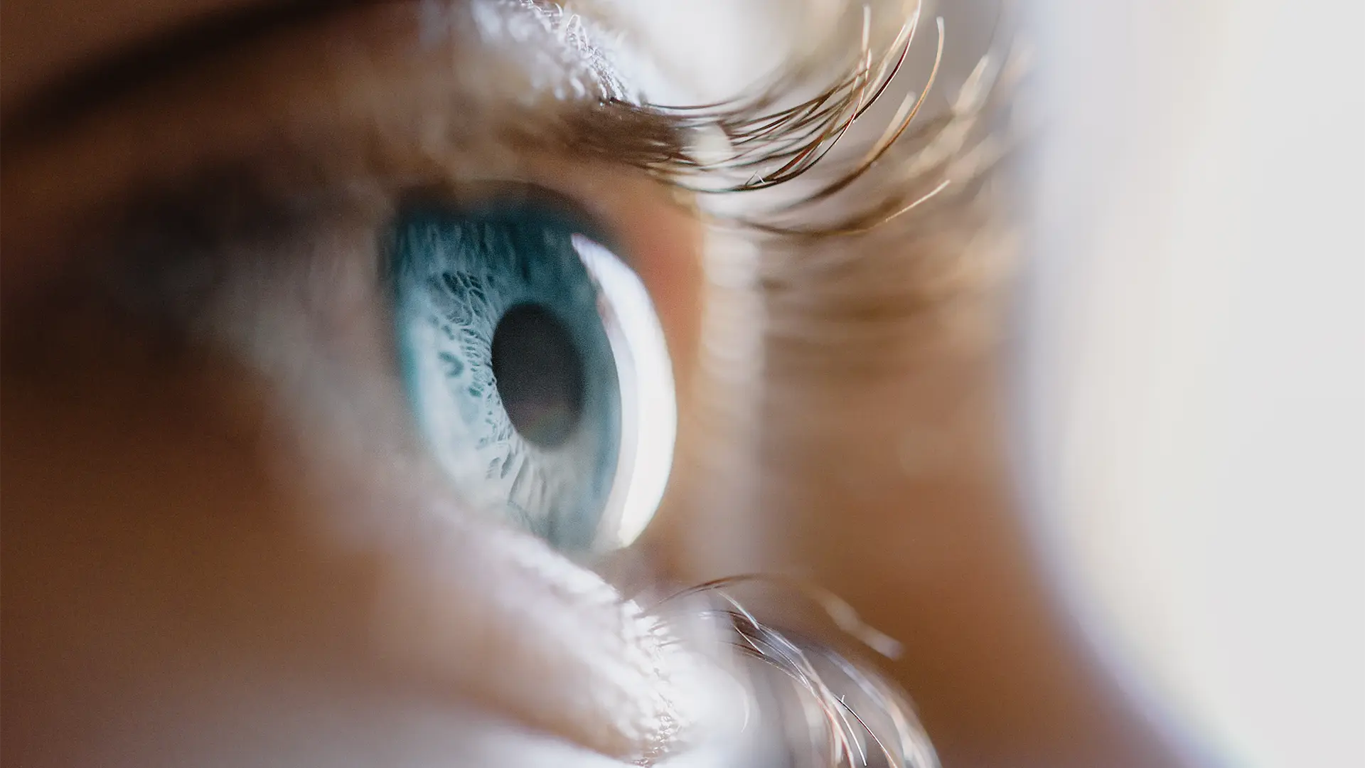 Natürliche Nahrungsergänzung für Augen und Sehkraft Detailreiche Nahaufnahme eines Auges mit klarer Iris und definierter Pupille – Symbolbild für natürliche Unterstützung der Sehkraft.