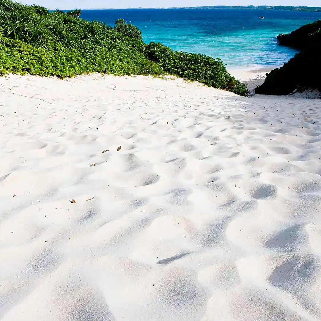 rubyni® CaMag Mineralstoffe unterstützt gesunde Haut, Haare und Nägel weißer Sandstrand fällt ab zu türkisblauem Meer, eingesäumt von grüner Bewachsung